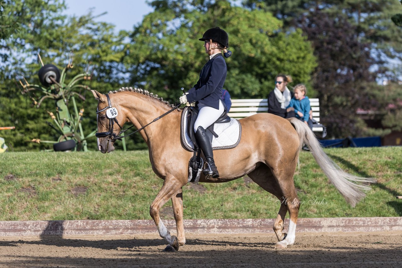 Bild 36 - Pony Akademie Turnier